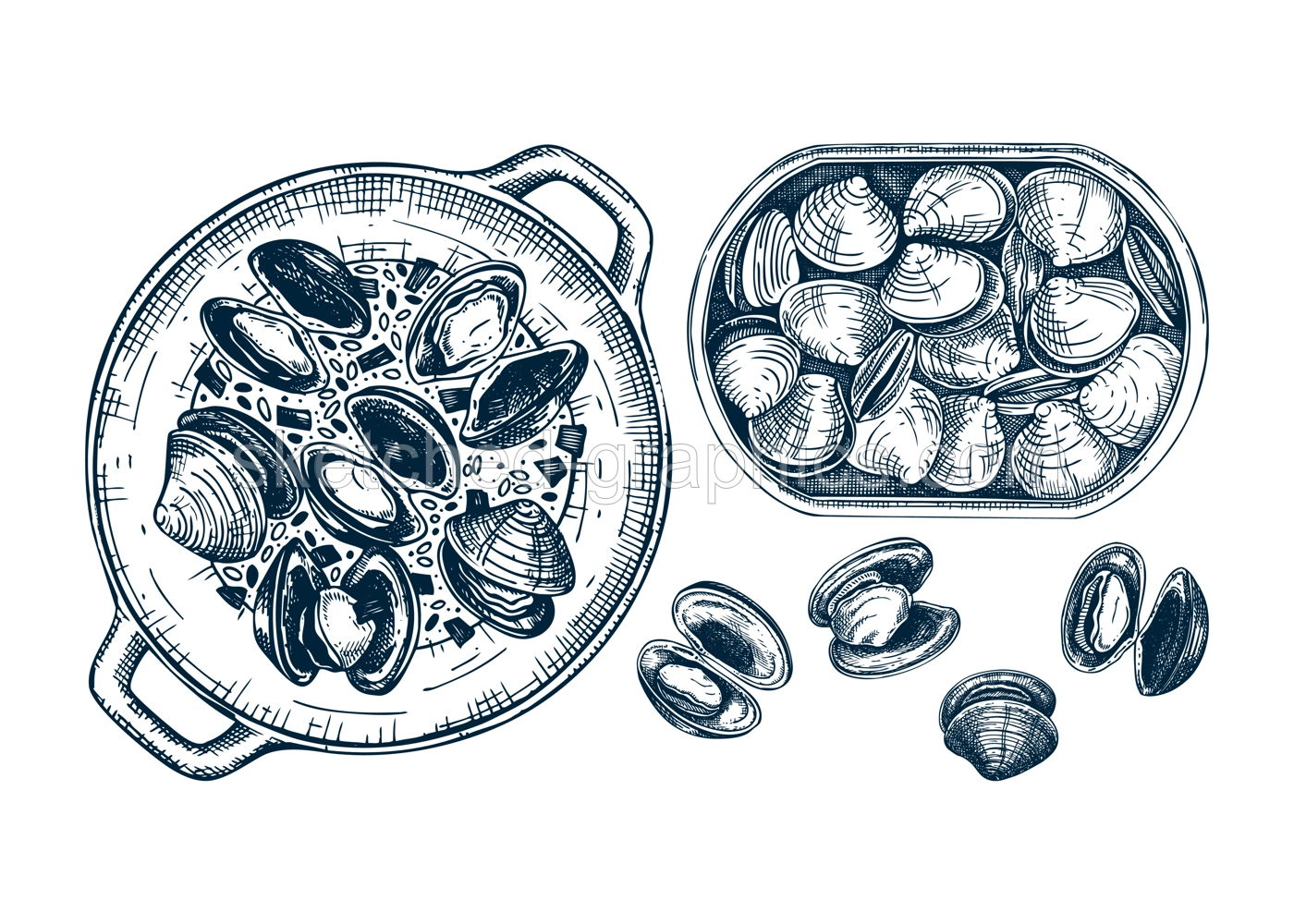 Cooked clams with herbs on plate illustration. Shellfish and seafood restaurant design element. Hand drawn canned clams in tin can sketch isolated on white background. For menu, recipes, packaging Illustration